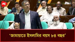 সংসদে জামায়াতে ইসলামীর ইতিহাস তুলে ধরলেন স্বরাষ্ট্রমন্ত্রী