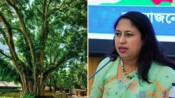 শেরপুর ডিসির হস্ত‌ক্ষে‌পে রক্ষা পে‌ল শতবর্ষী বটগাছ
