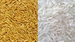 কমছে ধানের দাম, বাড়ছে চালের