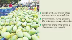 আম বাণিজ্যে স্বস্তি, সম্ভাবনা ও আক্ষেপ