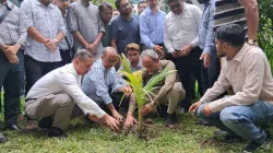 ডা. জুবাইদার জন্মদিন উপলক্ষে ঢামেক প্রাঙ্গণে বৃক্ষরোপণ