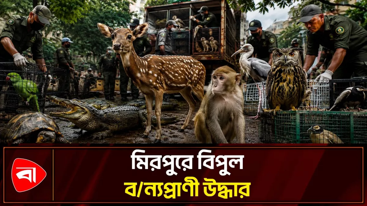দেশের ইতিহাসে সবচেয়ে বড় বন্যপ্রাণীর চালান আটকের দাবি