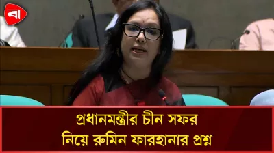 বাজেটের কড়া সমালোচনা করলেন রুমিন ফারহানা