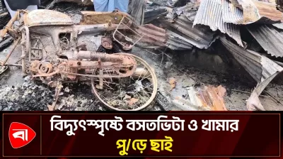 সুবর্ণচরে বিদ্যুৎস্পৃষ্টে পুড়ল বাড়ি, মরল গরু