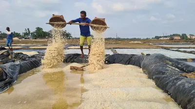 লবণ উৎপাদনে ছুঁতে পারেনি লক্ষ্যমাত্রা 