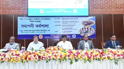 চোর-পুলিশ খেলে ইলিশ রক্ষা করা যাবে না: কৃষিমন্ত্রী