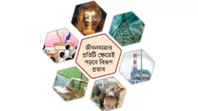 বোঝার ওপর শাকের আঁটি