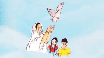 শাদা পায়রা