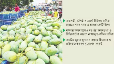 আম বাণিজ্যে স্বস্তি, সম্ভাবনা ও আক্ষেপ