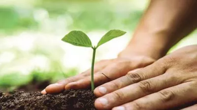 কার্বন বাণিজ্যে নতুন দিগন্ত