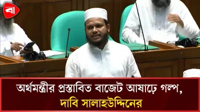 বাজেট নিয়ে সংসদে যা বললেন এমপি সালাহউদ্দিন