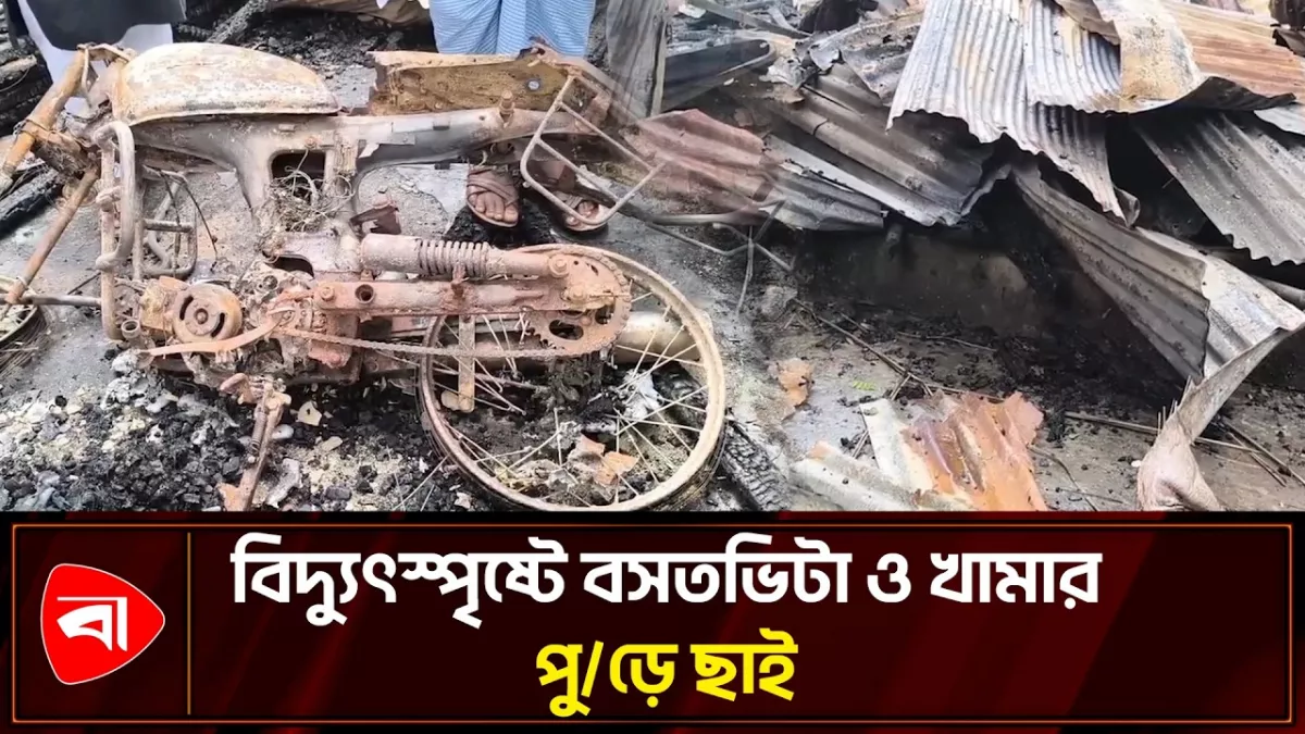 সুবর্ণচরে বিদ্যুৎস্পৃষ্টে পুড়ল বাড়ি, মরল গরু