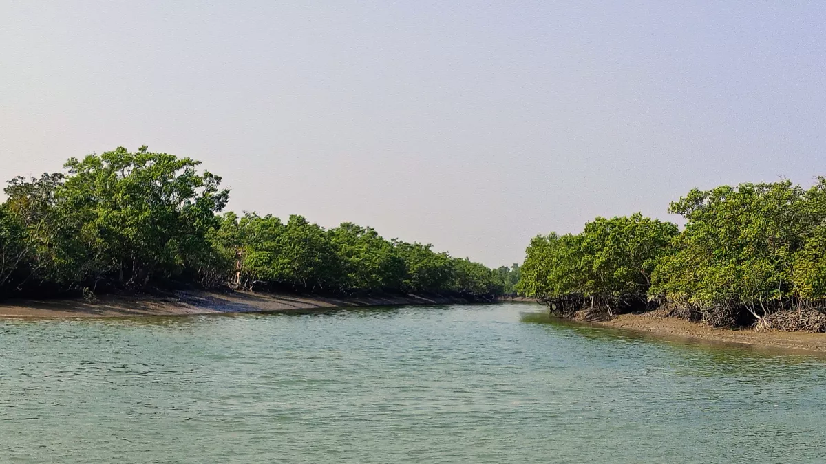 সুন্দরবনে মুক্তিপণ দিয়ে বাড়ি ফিরলেন অপহৃত ৪ জেলে