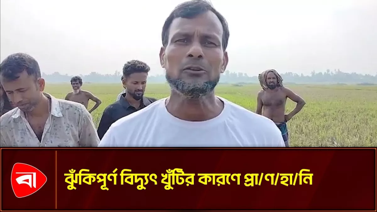 অরক্ষিত খুঁটিতে বিদ্যুৎস্পৃষ্ট ৫ গরু