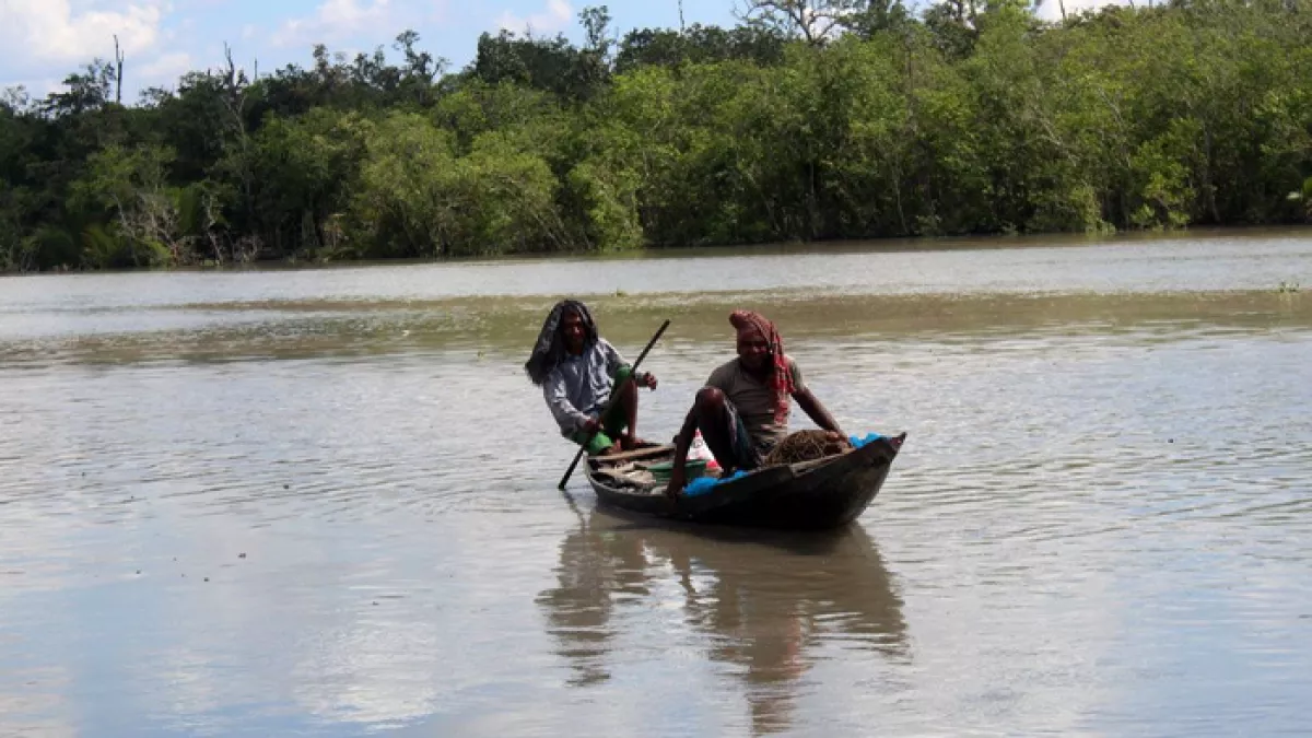প্রস্তাবিত সুন্দরবন জেলা ৪৪ বছরেও বাস্তবায়ন হয়নি