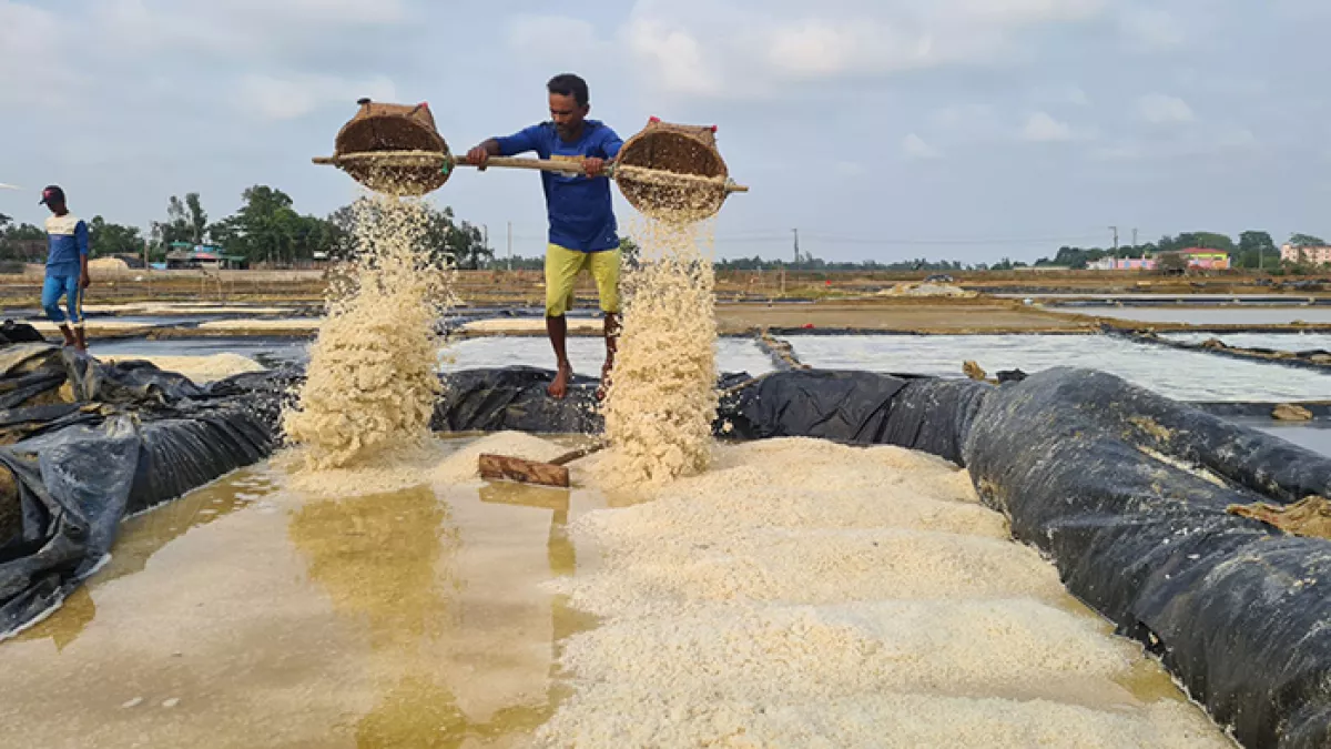 লবণ উৎপাদনে ছুঁতে পারেনি লক্ষ্যমাত্রা 