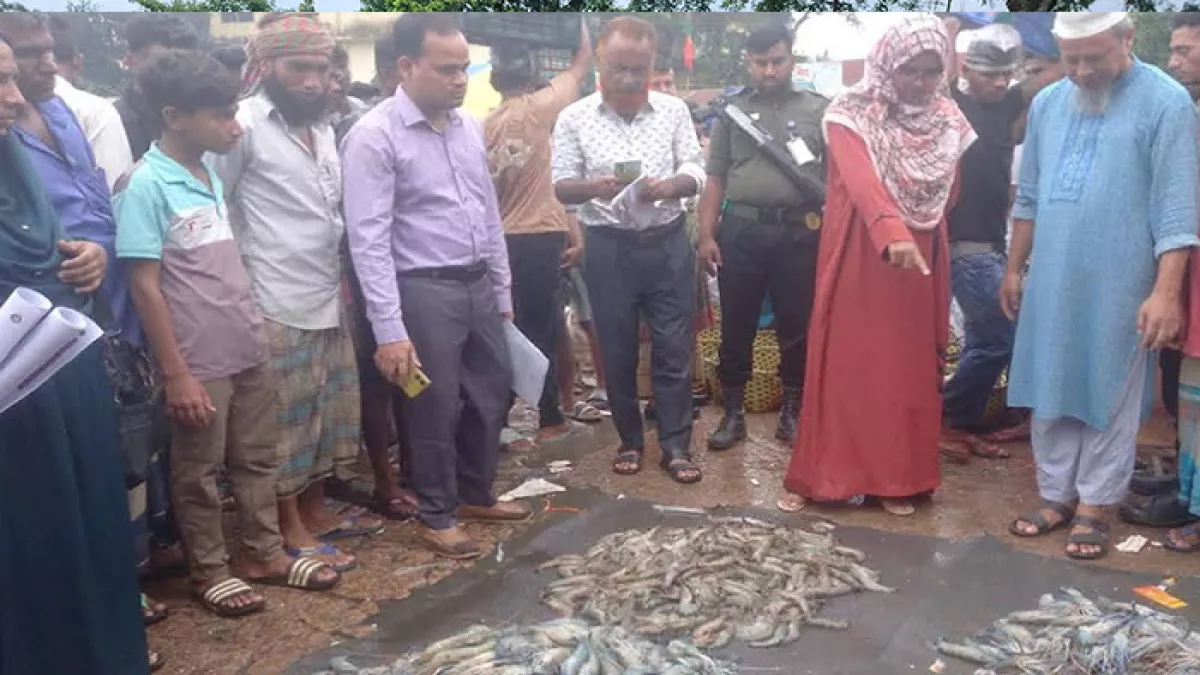 ফেনীর বাংলাদেশ ফিশিং নামের মৎস্য আড়তকে ৪০ হাজার টাকা জরিমানা করেছেন ভ্রাম্যমাণ আদালত জেলি পুশ করার দায়ে। প্রবা ফটো