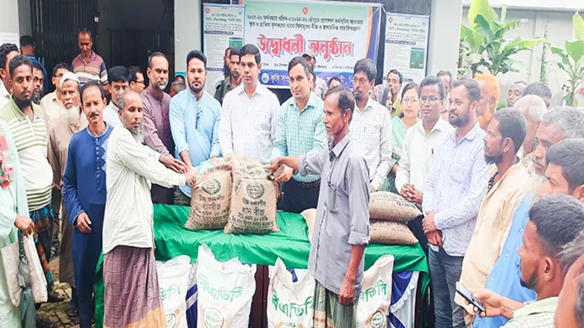 ফুলবাড়ীতে কৃষকদের মাঝে বিনামূল্যে সার ও রোপা আমন ধানের বীজ বিতরণ