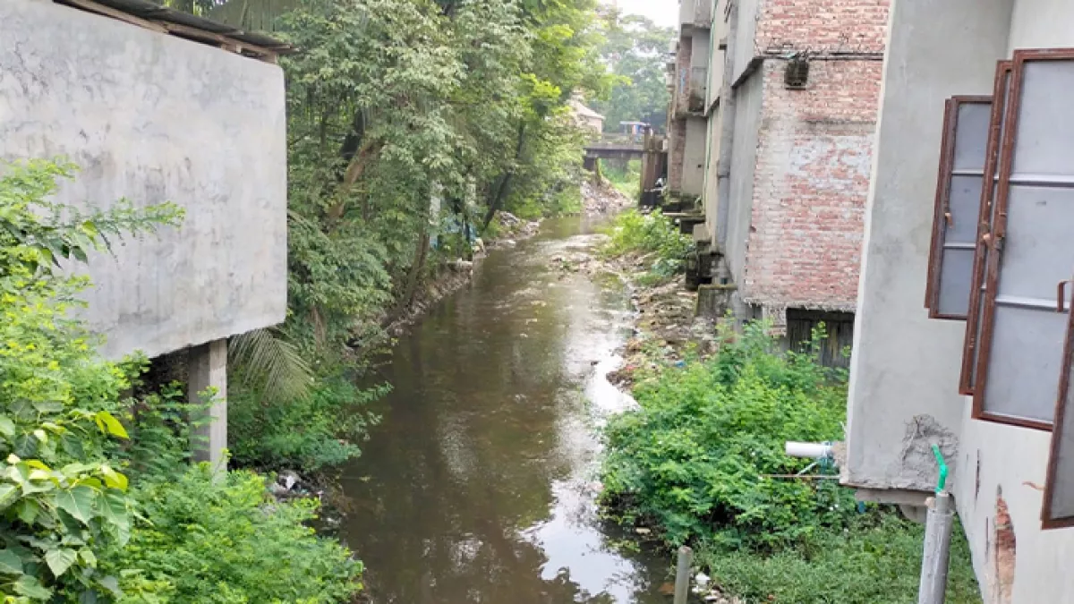 কচুয়া উপজেলার রহিমানাগর বাজারের প্রবহমান খালটি অবৈধভাবে দখল ও দূষণে বিলুপ্তর পথে। প্রবা ফটো