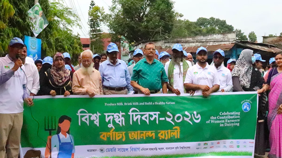 বুধবার বর্ণাঢ্য আয়োজনে বাকৃবিতে ‘বিশ্ব দুগ্ধ দিবস’ উদযাপন উপলক্ষে র‌্যালি বের করা হয়। প্রবা ফটো