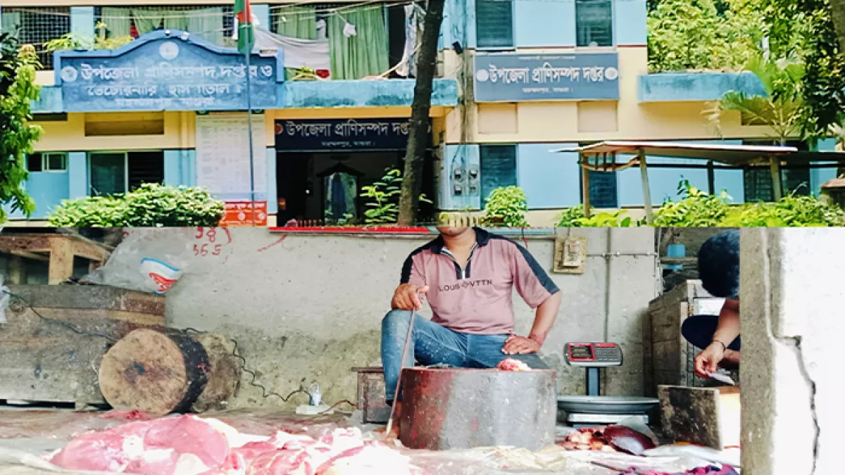 পশু জবাইয়ে মানা হচ্ছে না সরকারি বিধিবিধান, নেই স্বাস্থ্য পরীক্ষা