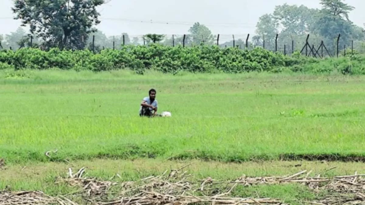 আনুমানিক ৩৫ বছর বয়সী এক যুবক উপজেলার সীমান্তবর্তী মধ্যেরচর এলাকায় আন্তর্জাতিক শূন্যরেখা অতিক্রম করে বাংলাদেশে প্রবেশের চেষ্টা চালান। ছবি: প্রতিদিনের বাংলাদেশ