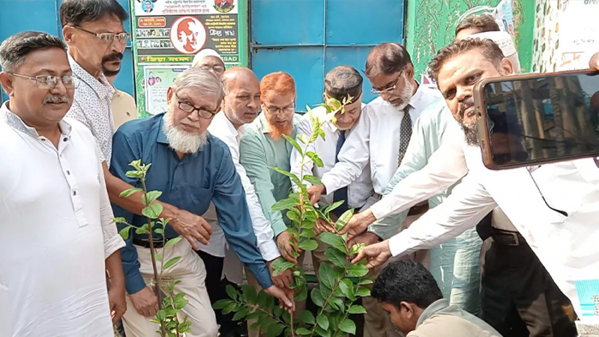 রংপুরে জিয়া সংসদের আয়োজনে বৃক্ষরোপণ কর্মসূচি