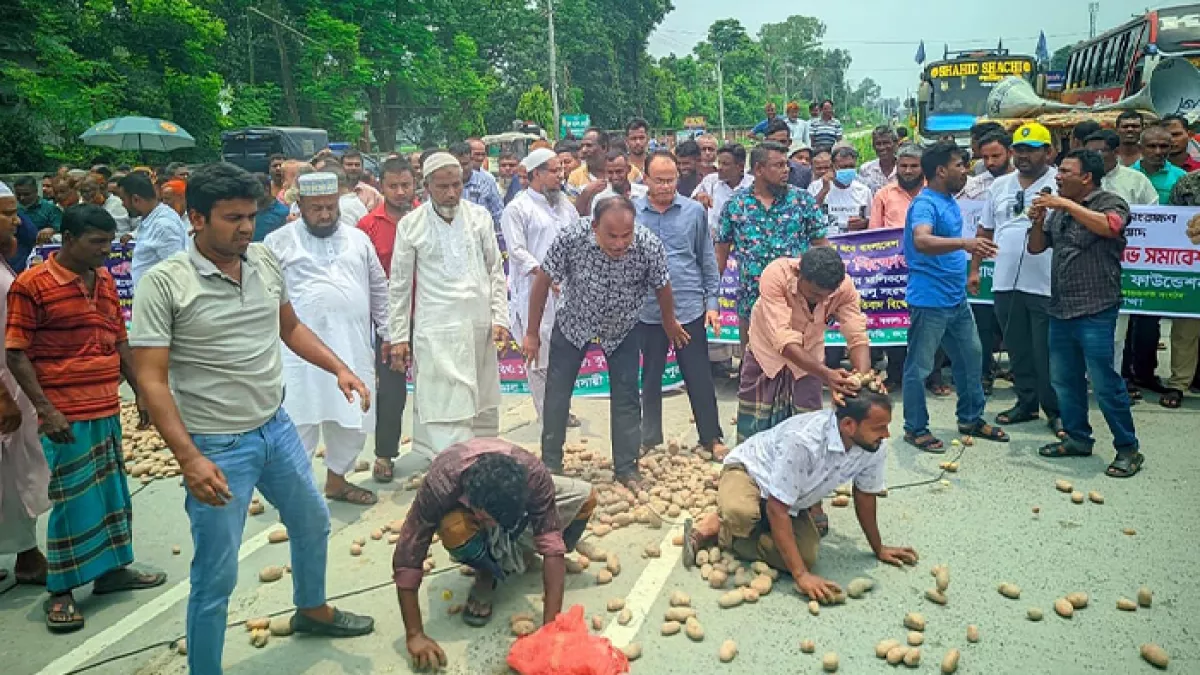 রংপুর নগরীর তুলা গবেষণা কেন্দ্রের সামনে হিমাগার ভাড়া বাড়ানোর প্রতিবাদে রাস্তায় আলু ফেলে বিক্ষোভ করে আলু চাষিরা। প্রবা ফটো 