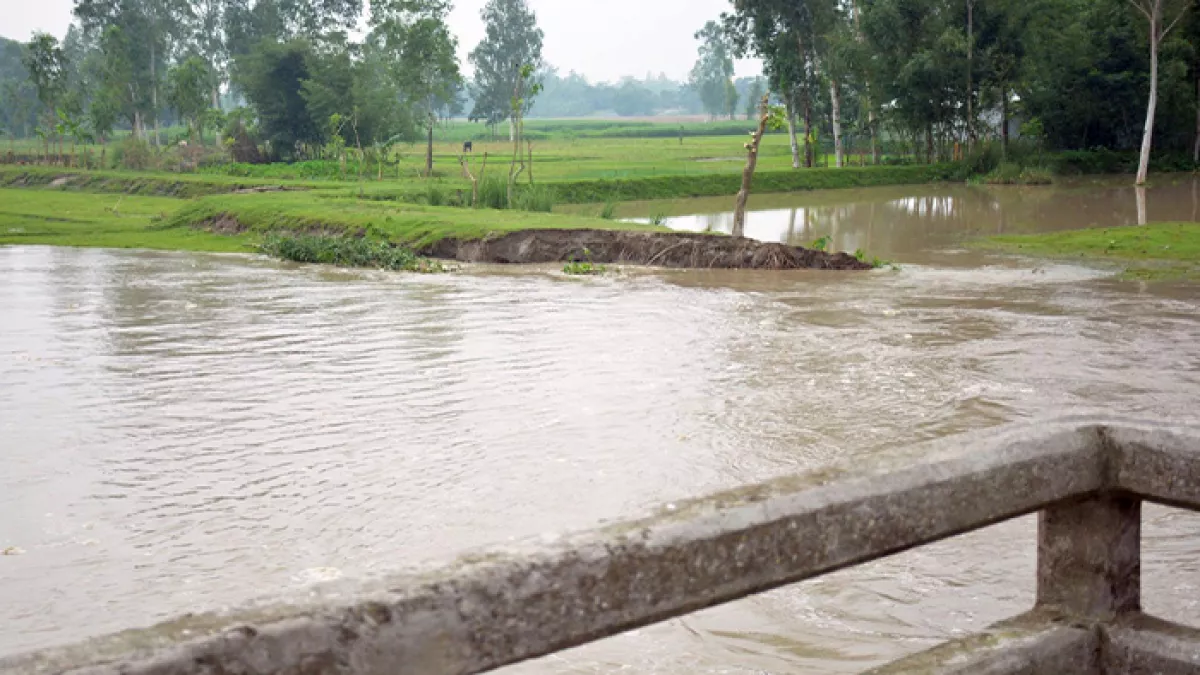 রংপুরের গঙ্গাচড়া উপজেলার কোলকোন্দ ইউনিয়নে গোয়েন বাঁধের নিচ দিয়ে পানি প্রবাহিত হওয়ায় তীব্র ভাঙন দেখা দিয়েছে। প্রবা ফটো