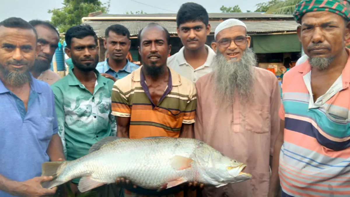 ফের ৯ কেজি ওজনের কোরাল ধরা পড়ল