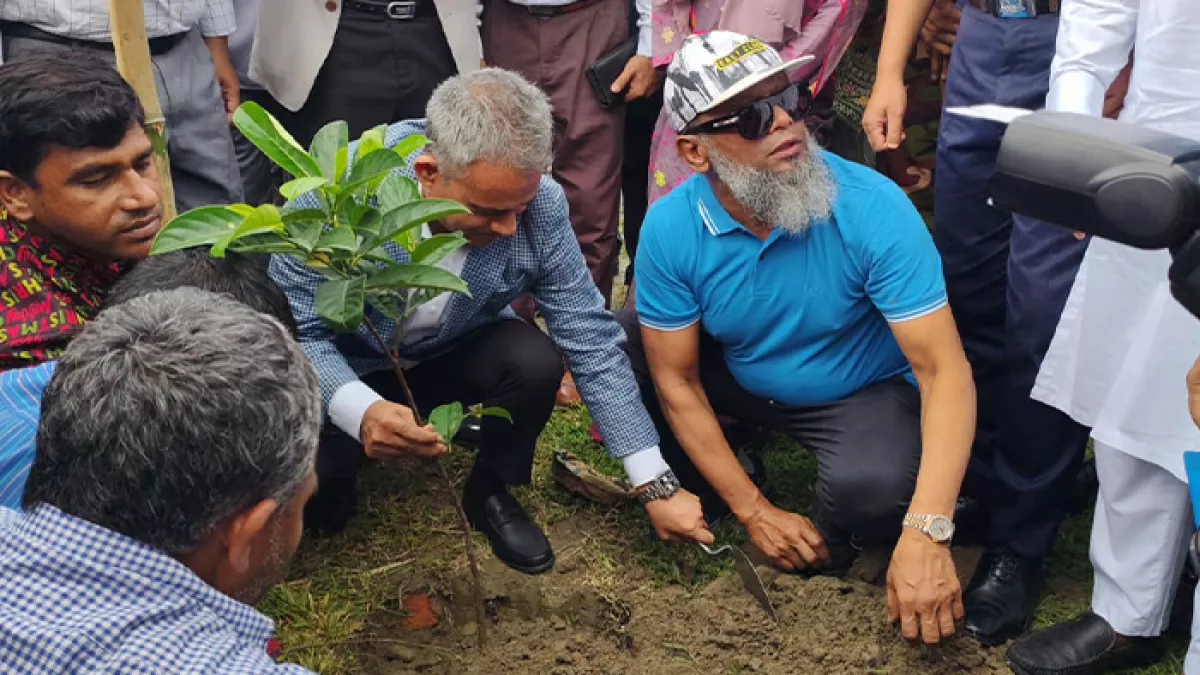 সিরাজদিখানের চর গুলগলিয়া এলাকায় ধলেশ্বরী নদীর ওপর নির্মিত রেল সেতুর ঢাকা প্রান্তের ভায়াডাক্টের নিচে রেলওয়ের বৃক্ষরোপণ কর্মসূচির উদ্বোধন করেন সড়ক পরিবহন ও রেল মন্ত্রী। প্রবা ফটো