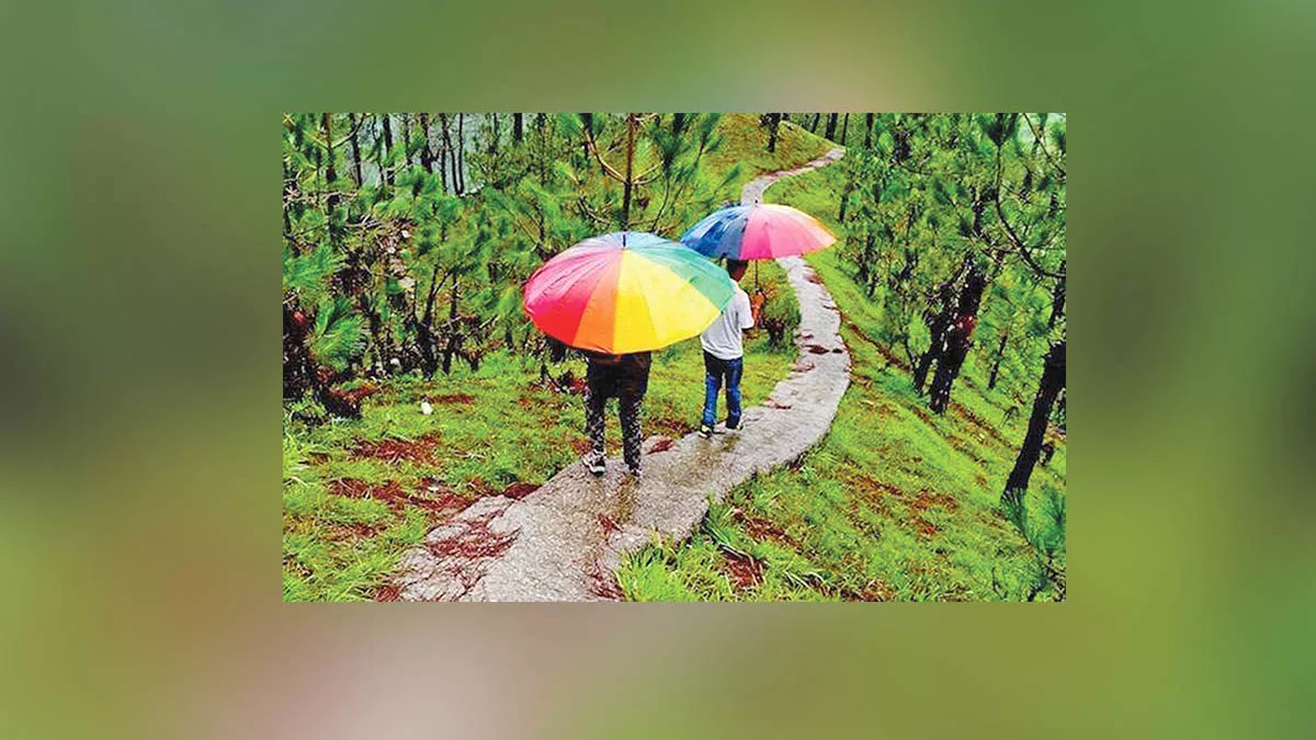 বৃষ্টিভেজা সফরে ভুল হচ্ছে না তো?