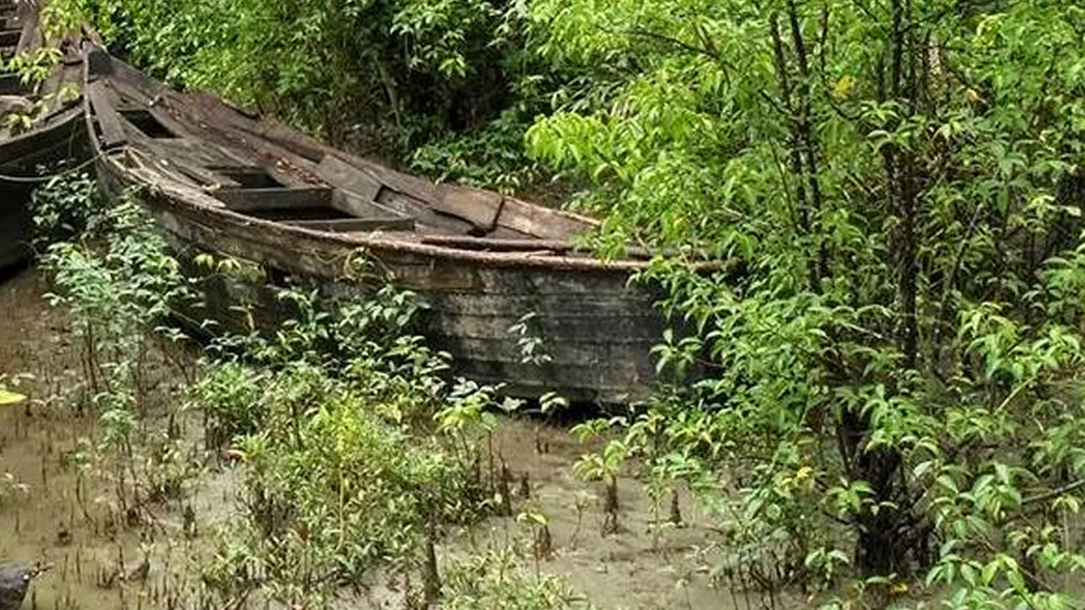 বন-বিহঙ্গের জলছায়ায়
