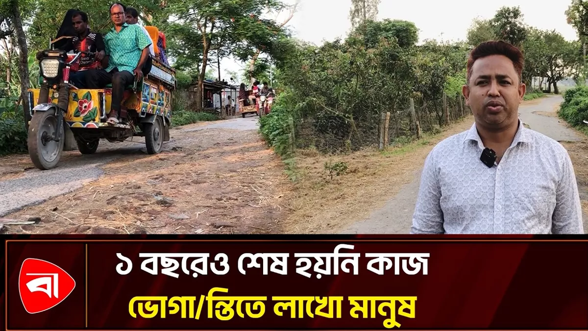 নওগাঁয় গাছ কাটার অজুহাতে বছর পার, ভোগান্তিতে লাখো মানুষ