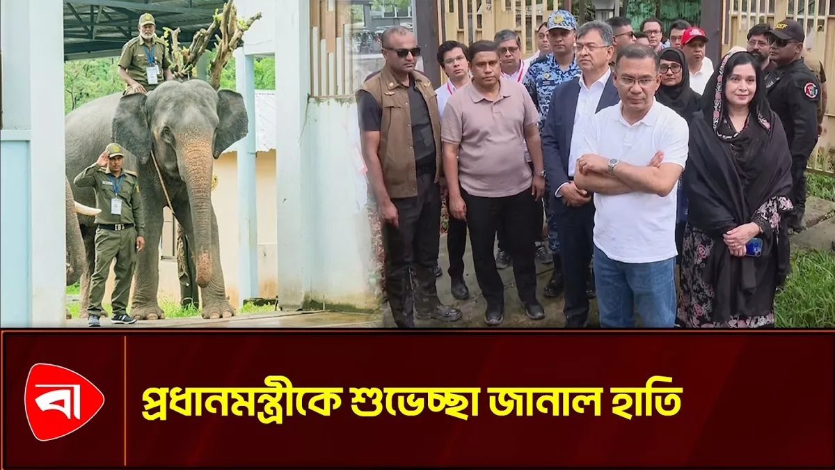  ডুলাহাজারা সাফারি পার্ক পরিদর্শন প্রধানমন্ত্রীর
