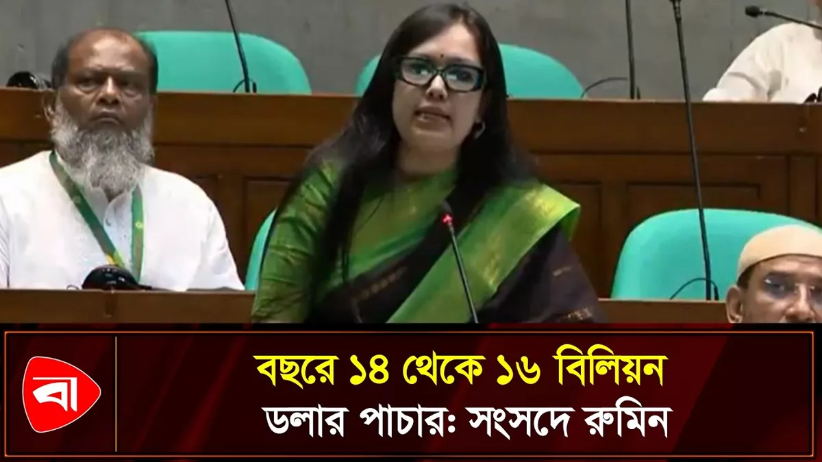 বছরে ১৪ থেকে ১৬ বিলিয়ন ডলার পাচার: সংসদে রুমিন