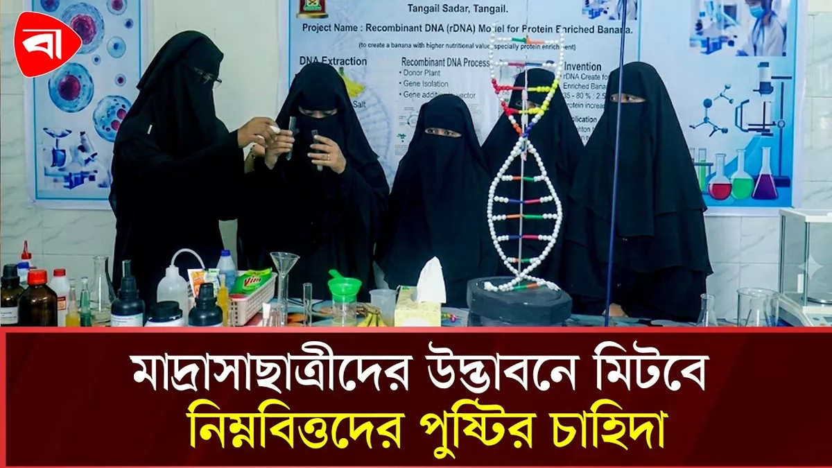 মুসুর ডালের জিনে হবে উচ্চ প্রোটিনের ‘সুপার ব্যানানা’ 
