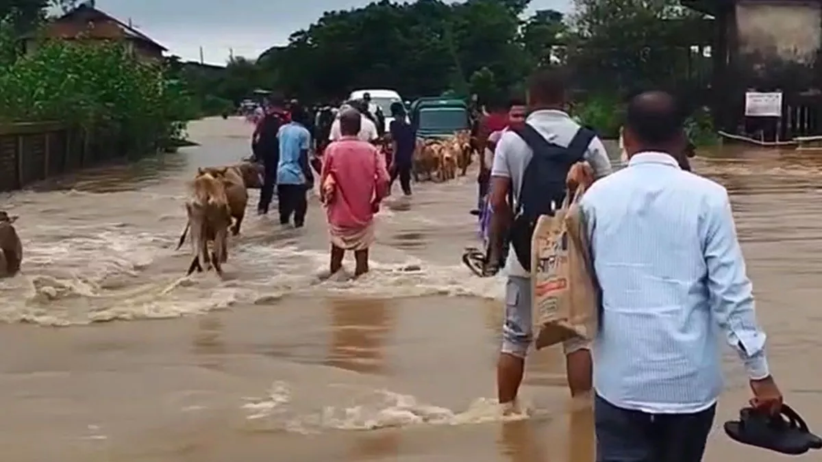 তাহিরপুরে পাহাড়ি ঢলে তলিয়ে গেছে সড়ক
