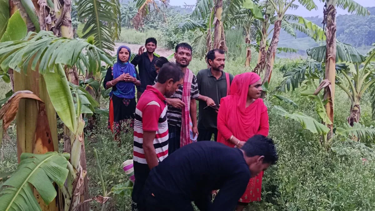 দর্শনা-গেঁদে সীমান্তের ৭৬-৭৭ নম্বর মেইন পিলারের কাছ দিয়ে রবিবার ভোর চারটার দিকে ১১ জনকে পুশইনের চেষ্টা করে বিএসএফ। ছবি: প্রতিদিনের বাংলাদেশ