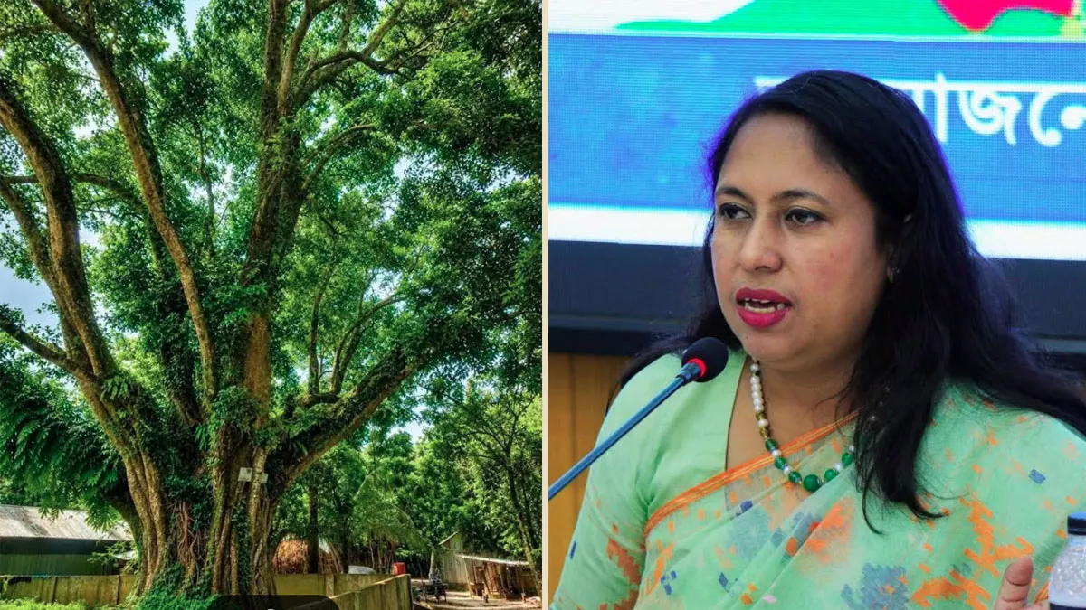 শেরপুর ডিসির হস্ত‌ক্ষে‌পে রক্ষা পে‌ল শতবর্ষী বটগাছ