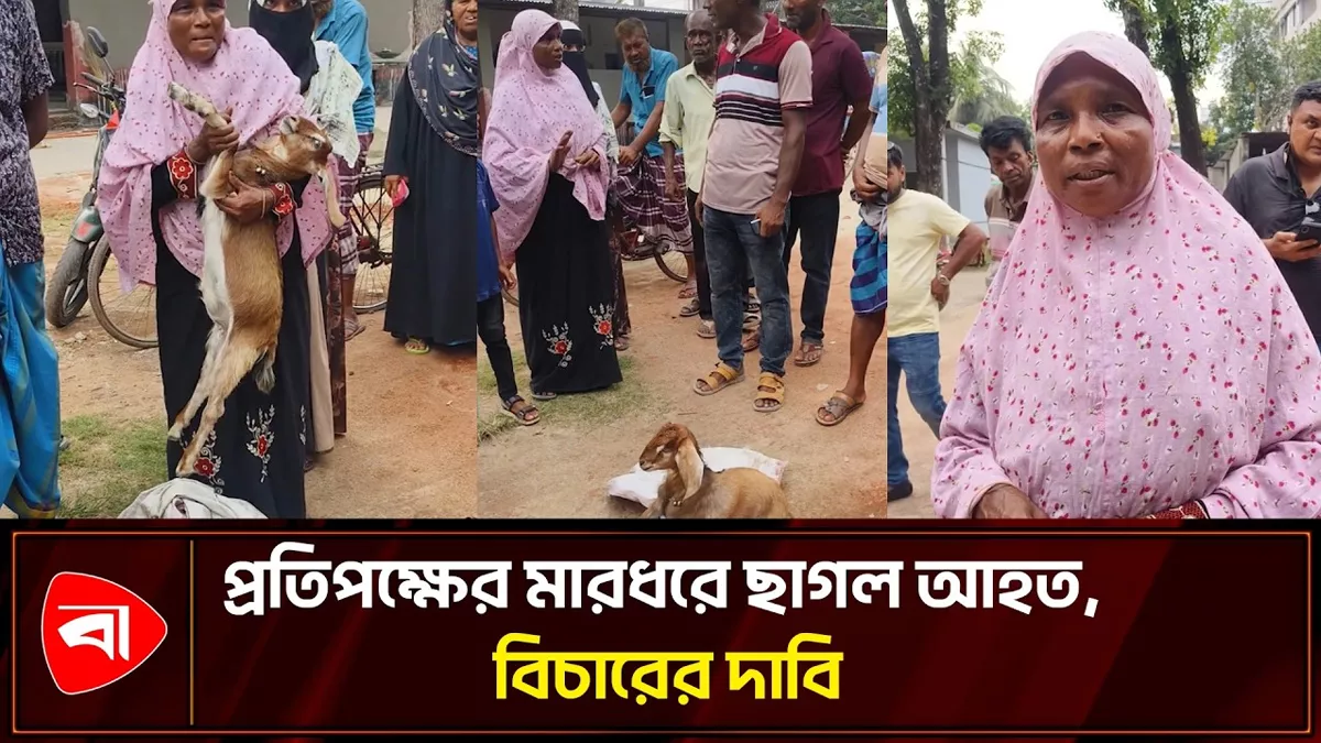  আহত ছাগল নিয়ে বিচারের দাবিতে থানায় মালিক