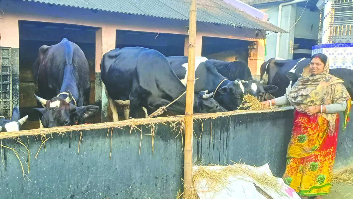 ডুমুরিয়া উপজেলার নারী উদ্যোক্তাদের অনুপ্রেরণার নাম নন্দিতা ঘোষ