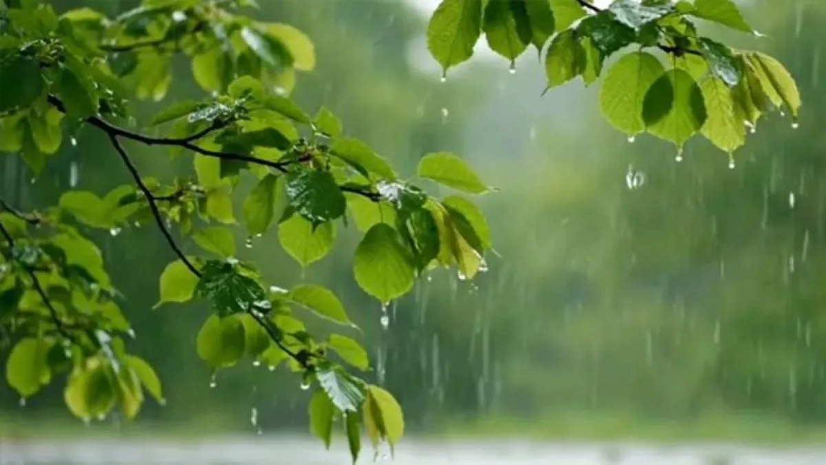 বাংলাদেশ আবহাওয়া অধিদপ্তরের শুক্রবার প্রকাশিত পূর্বাভাসে দেশজুড়ে বৃষ্টি ও বজ্রসহ বৃষ্টির আশঙ্কার বলা হয়েছে। ছবি: ইউএনবি