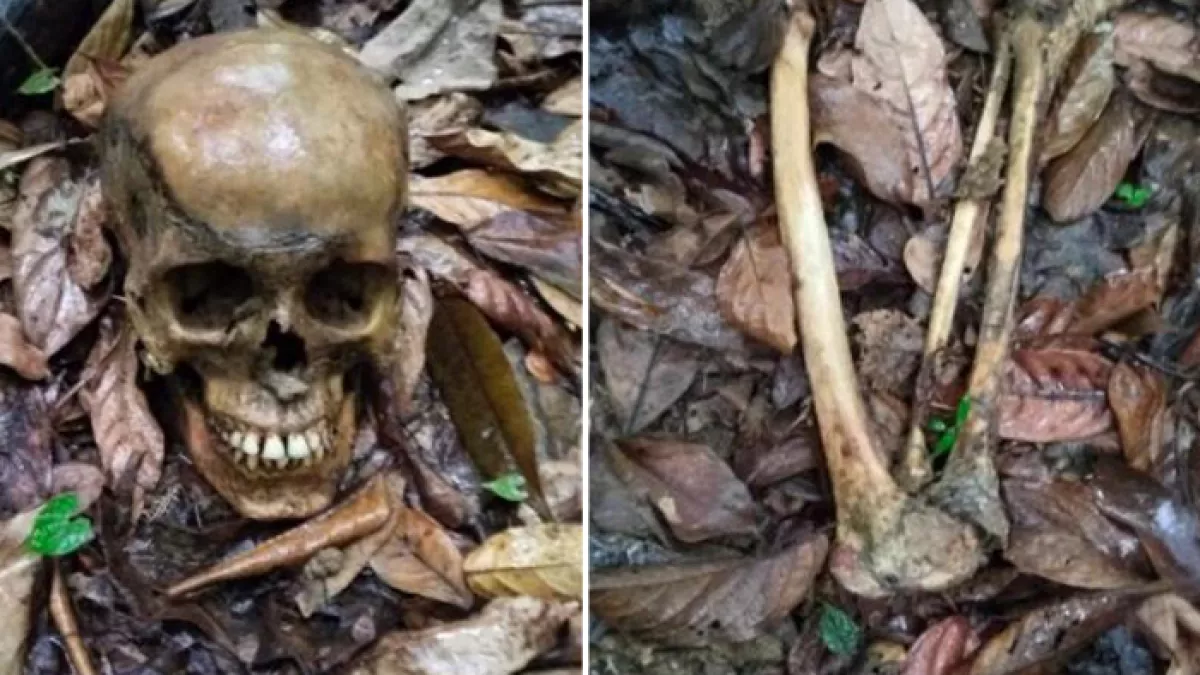 বান্দরবানের নাইক্ষ্যংছড়ির বাইশারী ইউনিয়নের একটি গহিন জঙ্গল থেকে অজ্ঞাতনামা এক ব্যক্তির কঙ্কাল উদ্ধার করেছে পুলিশ। প্রবা ফটো
