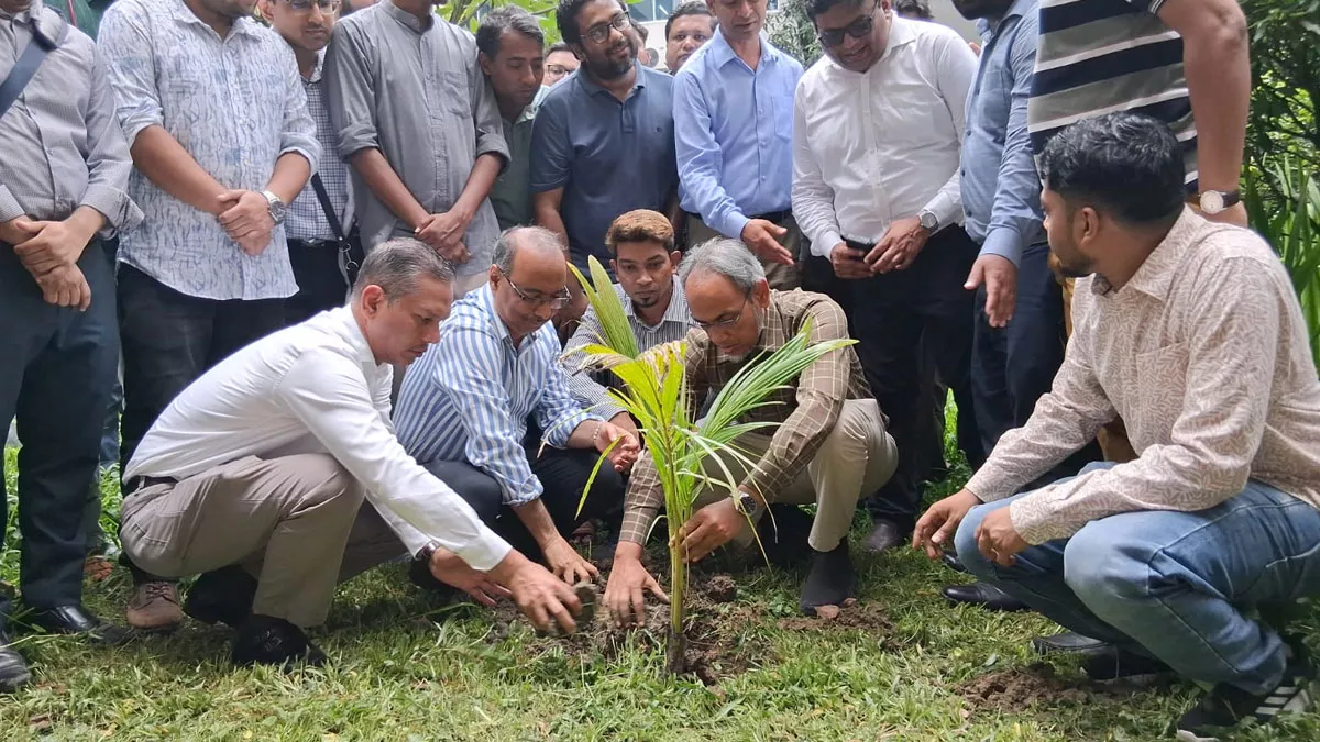 ঢাকা মেডিক্যাল কলেজ হাসপাতালের সর্বস্তরের চিকিৎসক, নার্স, কর্মকর্তা ও কর্মচারীদের আয়োজনে ডা. জুবাইদা রহমানের জন্মদিন উপলক্ষে বৃক্ষরোপণ কর্মসূচির আয়োজন করা হয়। ছবি: প্রতিদিনের বাংলাদেশ
