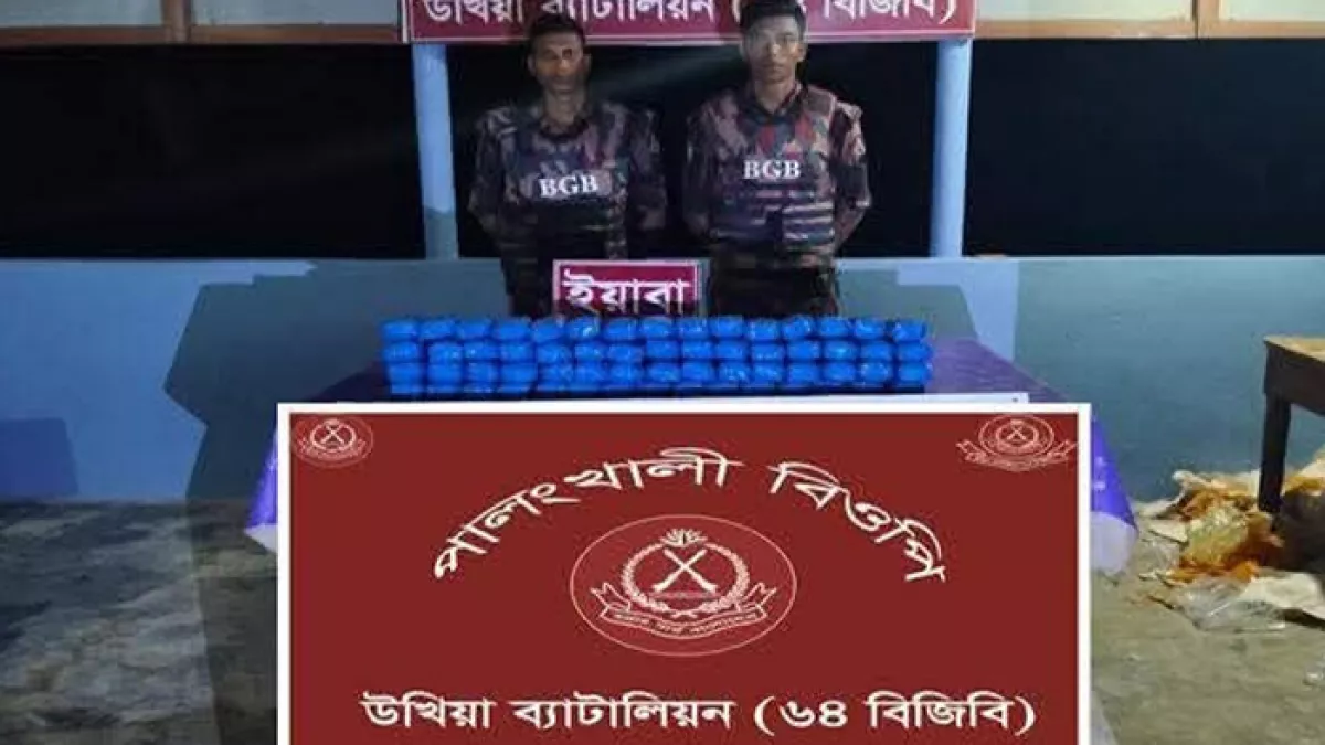 সীমান্তে বিজিবির অভিযানে ইয়াবাসহ আটক ১