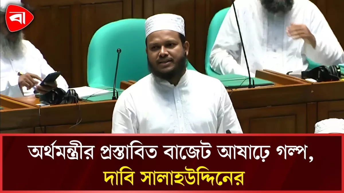 বাজেট নিয়ে সংসদে যা বললেন এমপি সালাহউদ্দিন