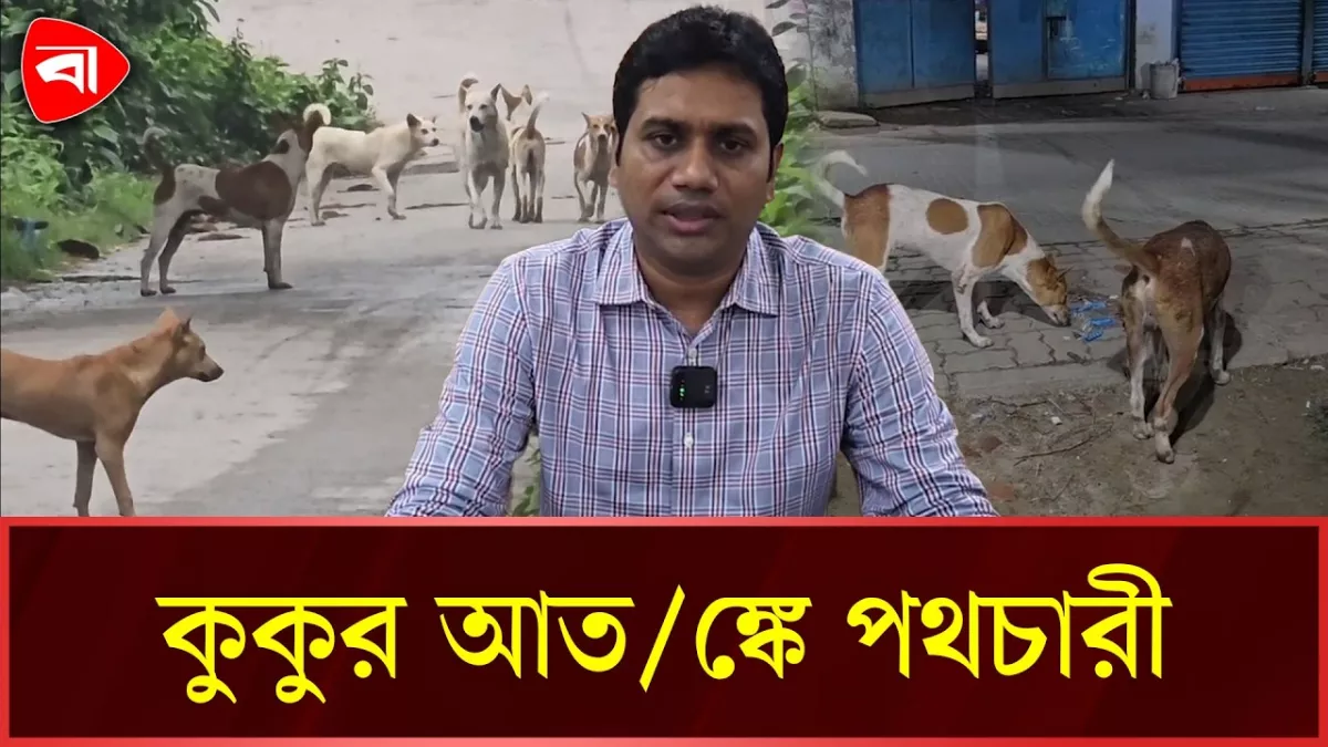 রূপগঞ্জে বেড়েছে কুকুরের উপদ্রব, আতঙ্কে সাধারণ মানুষ