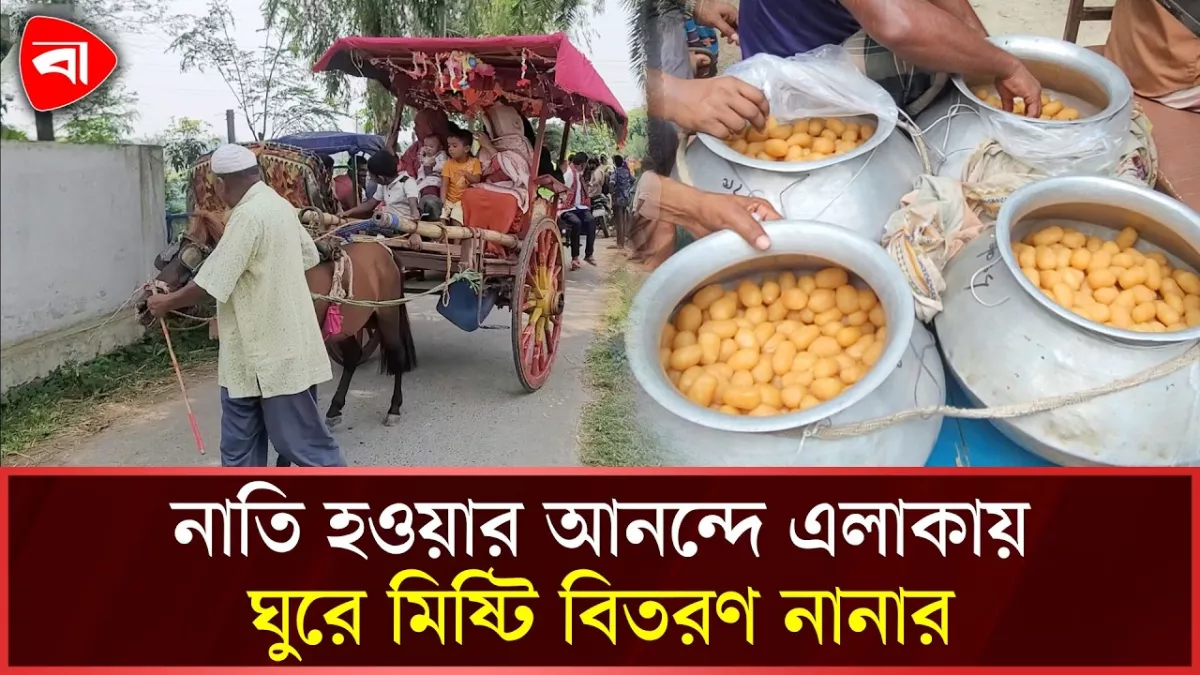 নাতি জন্মের খুশিতে ভ্যানে করে নানার মিষ্টি বিতরণ
