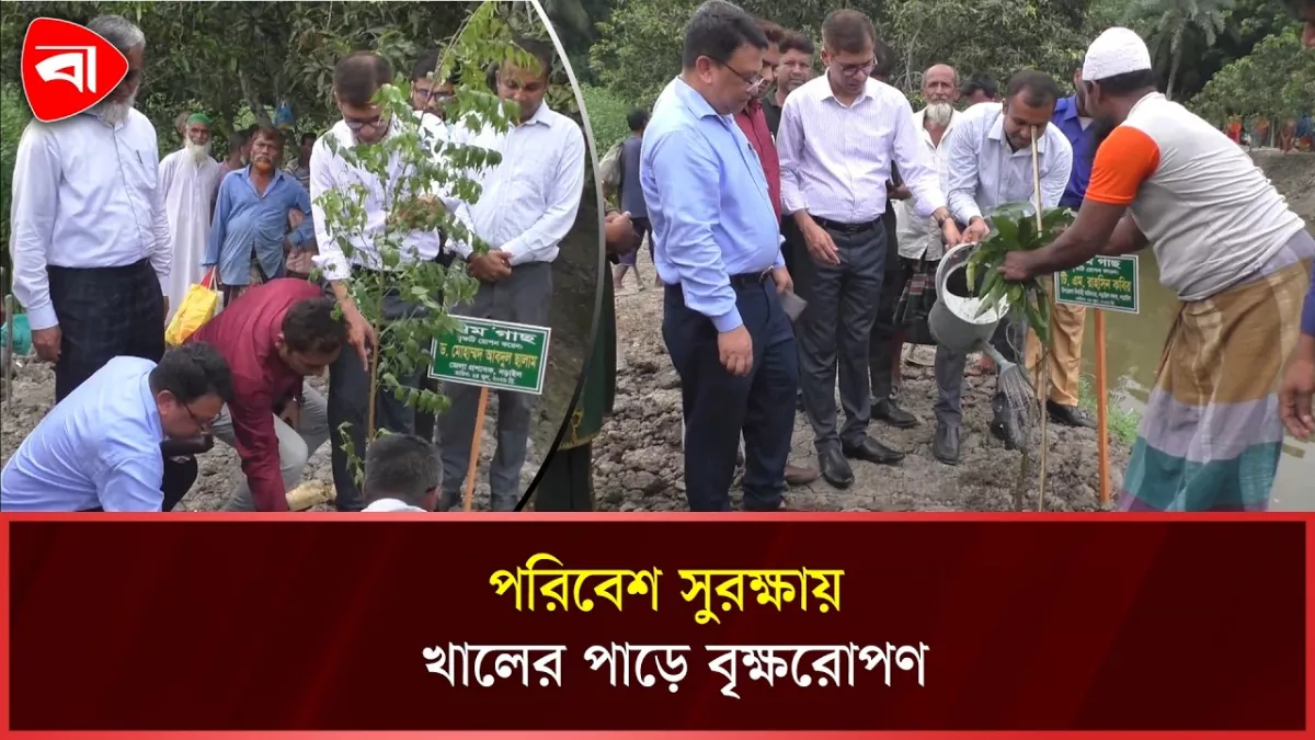 নড়াইলে পরিবেশ সুরক্ষায় খালের পাড়ে বৃক্ষরোপণ 